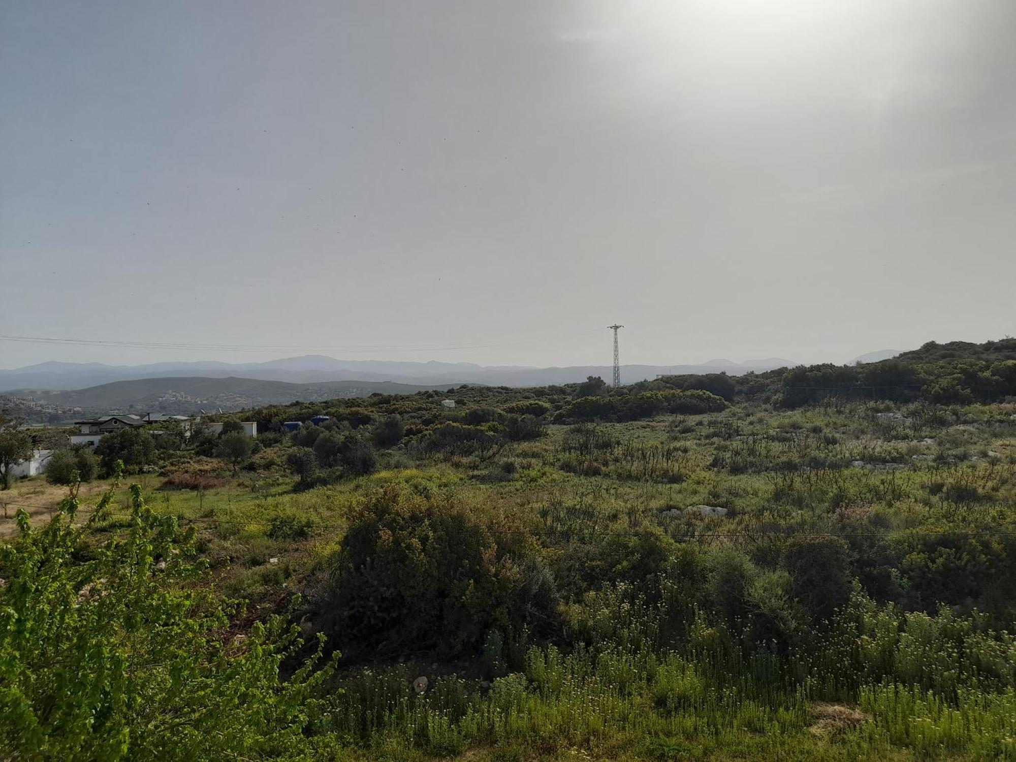 Huzur Hotel Siğacık Eksteriør billede